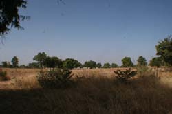 Burkina Faso - Natale 2007- gennaio 2008 - progetto ouatara - foto0215