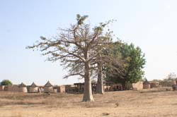 Burkina Faso - Natale 2007- gennaio 2008 - progetto ouatara - foto0228