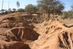 Burkina Faso - Natale 2007- gennaio 2008 - progetto ouatara - foto0234