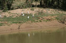 Burkina Faso - Natale 2007- gennaio 2008 - progetto ouatara - foto0241