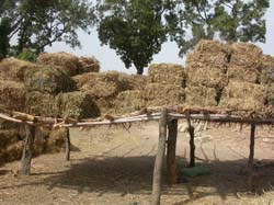 Burkina Faso - Natale 2007- gennaio 2008 - progetto ouatara - foto0327