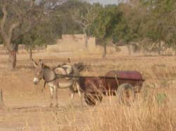 Burkina Faso - Natale 2007- gennaio 2008 - progetto ouatara - foto0333