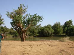 Burkina Faso - Natale 2007- gennaio 2008 - progetto ouatara - foto0345