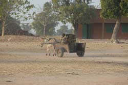 Burkina Faso - Natale 2007- gennaio 2008 - progetto ouatara - foto0460