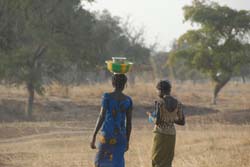 Burkina Faso - Natale 2007- gennaio 2008 - progetto ouatara - foto0464